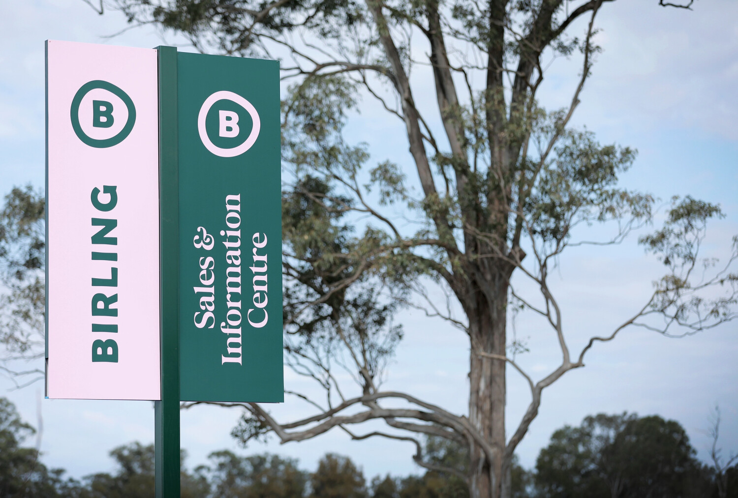 Birling – Sales Centre Curation