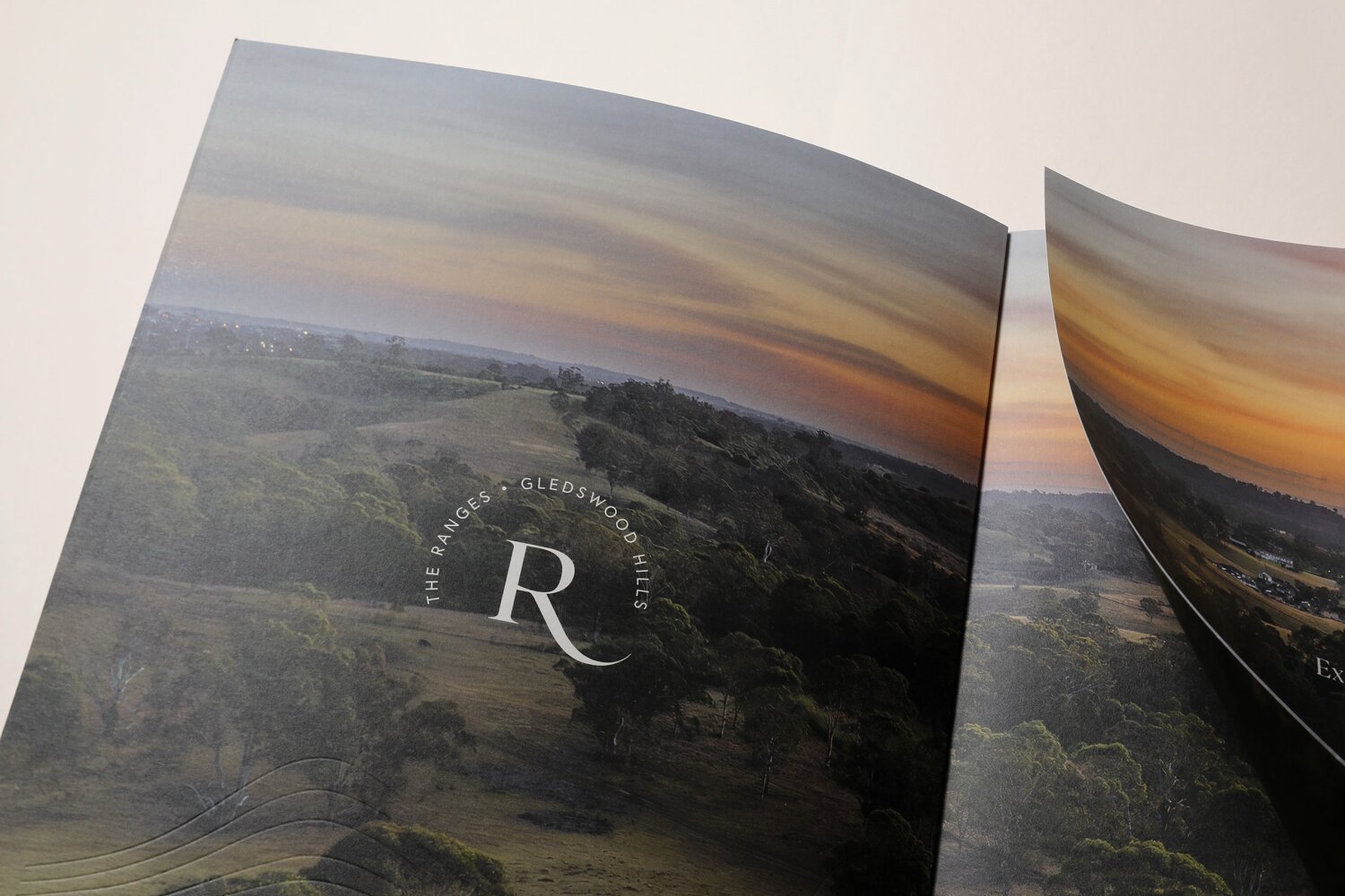 Delivery Agency Project: Birling Bringelly