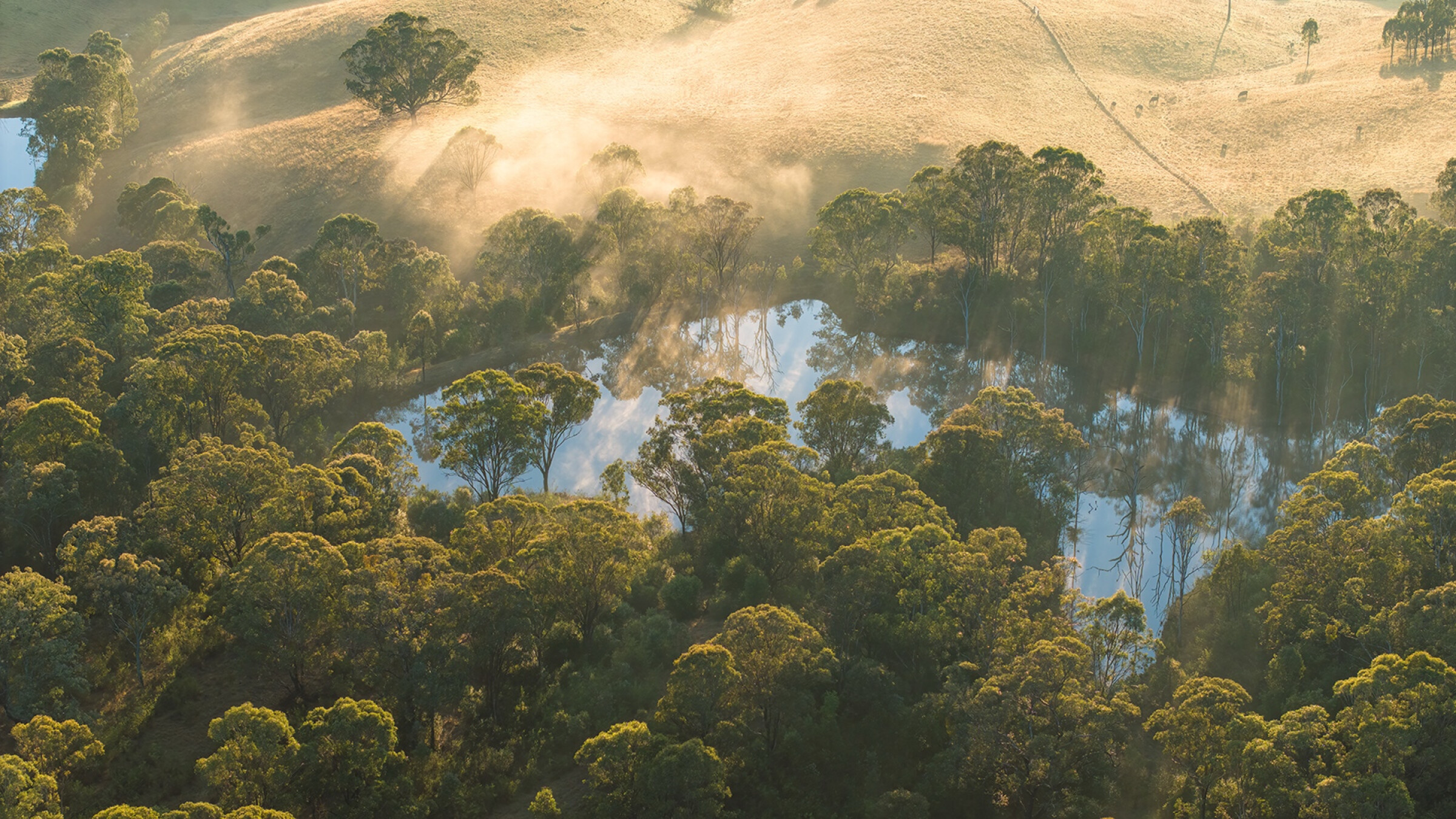 Delivery Agency Project: The Ranges