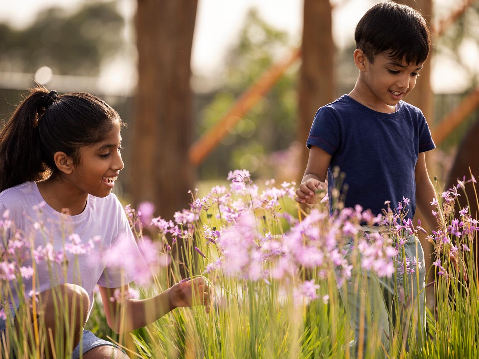 Orchard Hills North – Sales Centre